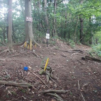 馬の背山右方面へ