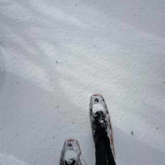 ノートーレスもあり