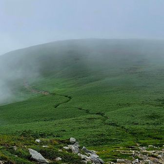 雨飾山の｢女神の横顔｣を彷彿させる山道跡が見え…