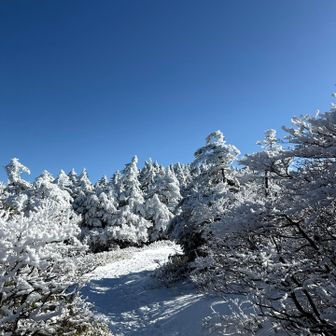 恵那山(日本百名山23座目) / しょうたろうさんの恵那山・大判山・神坂