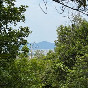 ピークから下り始めると正面に比叡山✨