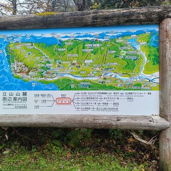 立山の凄さが分かるが風が強くて見れず😅