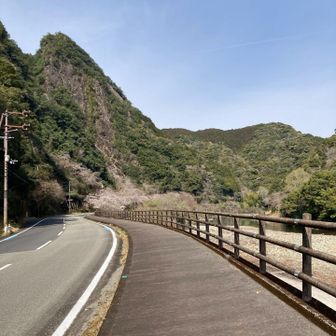 川沿い歩きます