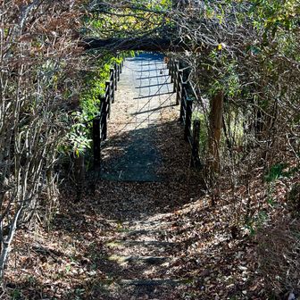 こっちには行かない事🙅