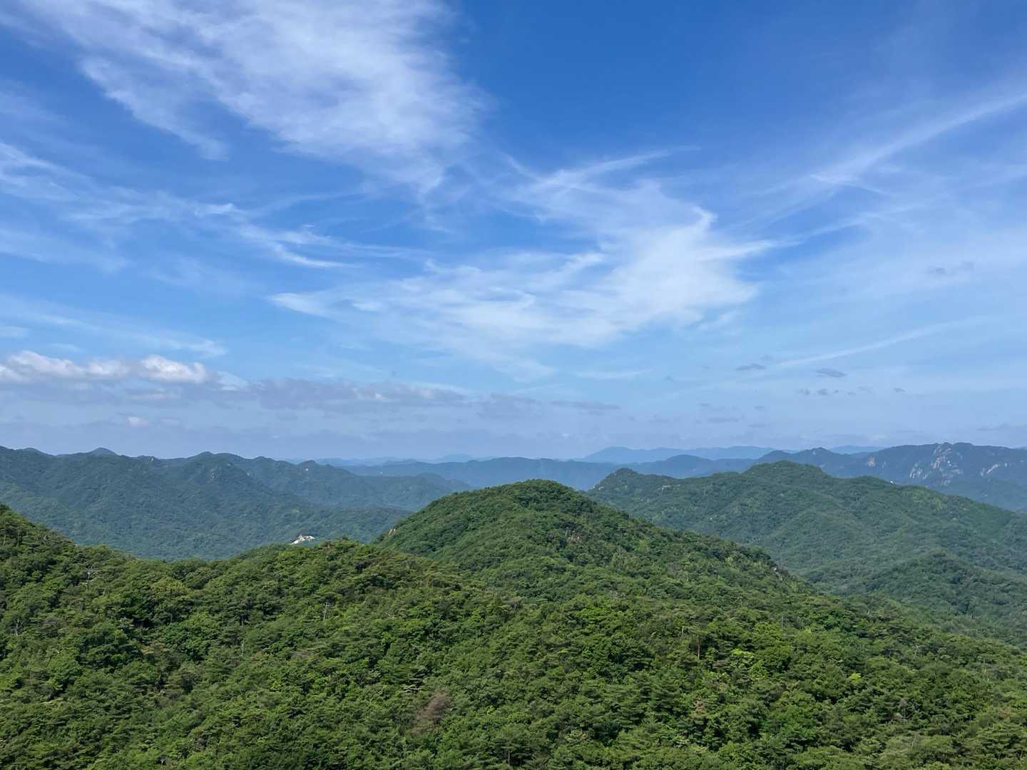 よい天気☀️