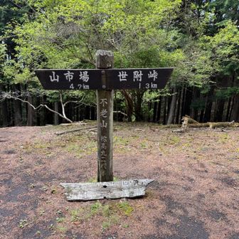 不老山に到着