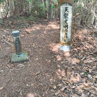 家康隠れ岩からそのまま進みます。YAMAP上だと、ここが奥の院らしいのですが、それを示す石柱等の表示は何もありません。まだ進めそうでしたので、この先にもしばらく進みましたが本当に何もありませんでしたので、引き返します。
(後で調べたら光明山奥の院は全く別の場所にちゃんと光明山光明寺として存在していました・・・😥)