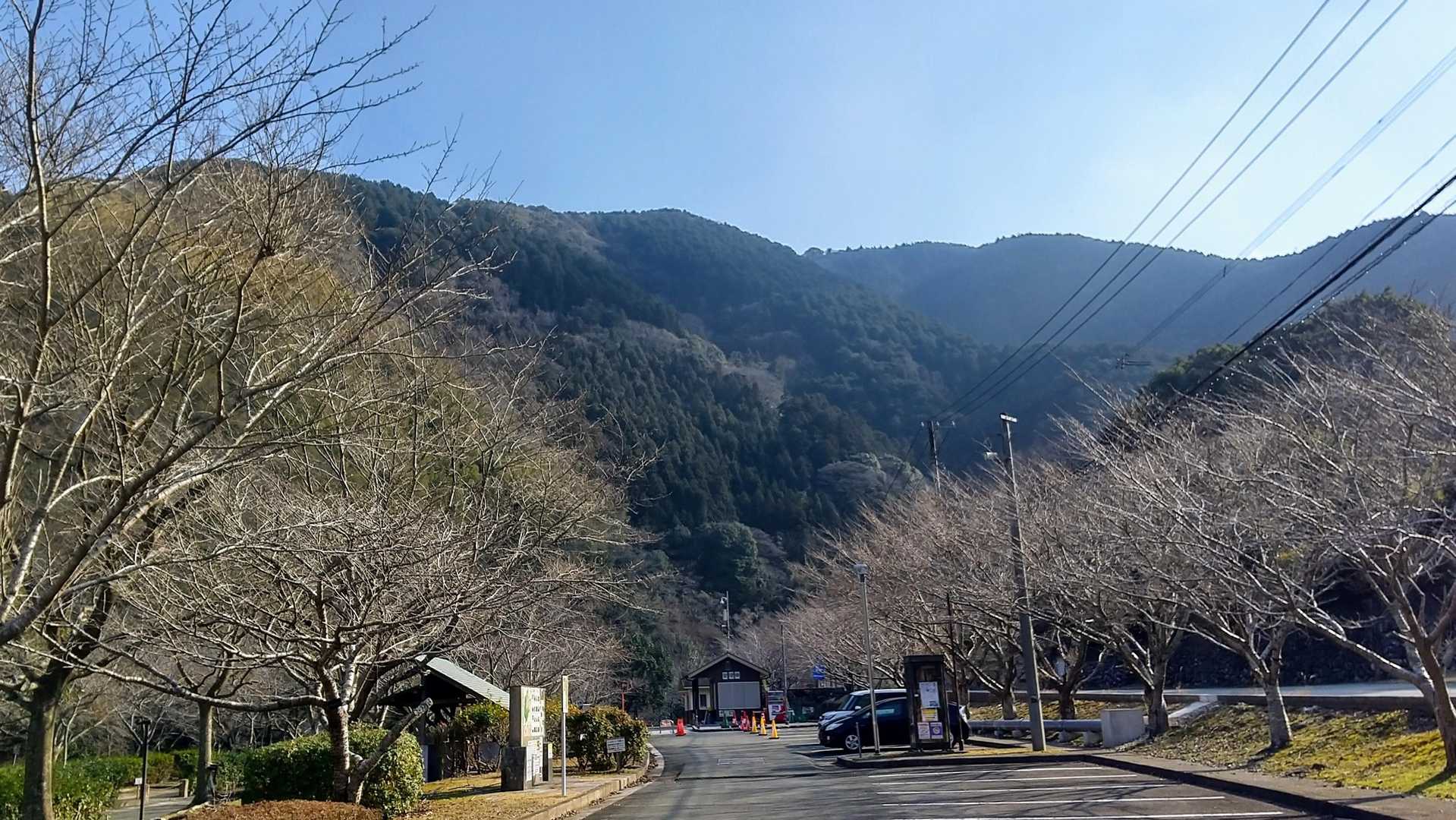 車道を歩いて🅿️とーちゃく。
ステキな1日をありがとう。