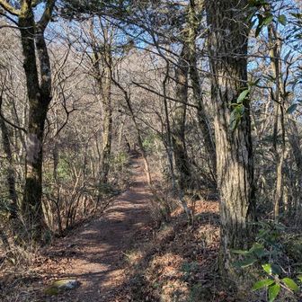 一度咳が出ると止まらん😫
あと数日で治るだろうか。。