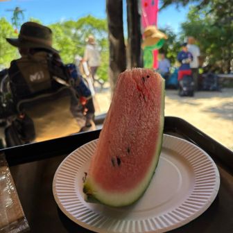 🍉ベホマ級🍉