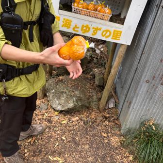 途中のゆず園、
100円です。ジャムにするんだって^_^