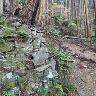 世界遺産なのに、舗装してしまったのがもったいない
