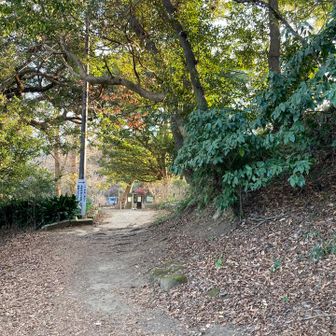 葛原岡神社前の広場に到着