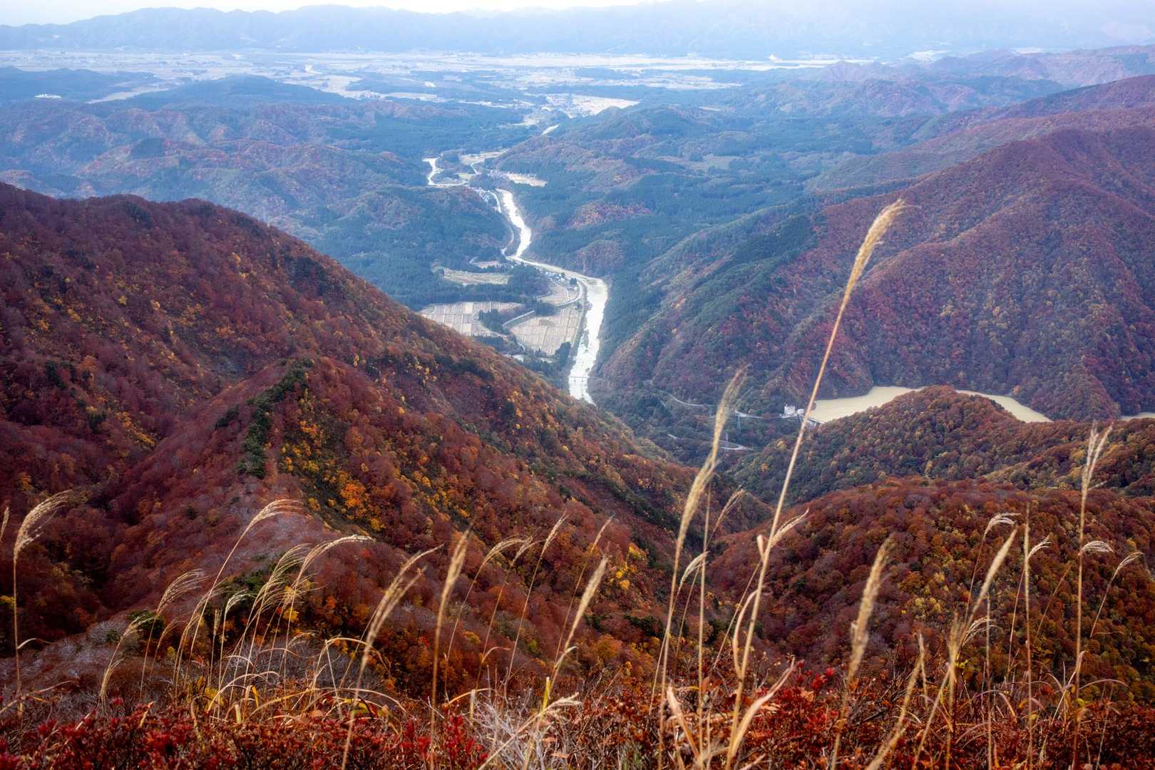 鷲ヶ巣山（縄文の里朝日）の写真