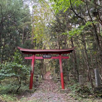 鳥居をくぐって⛩️✨
行ってきます💪