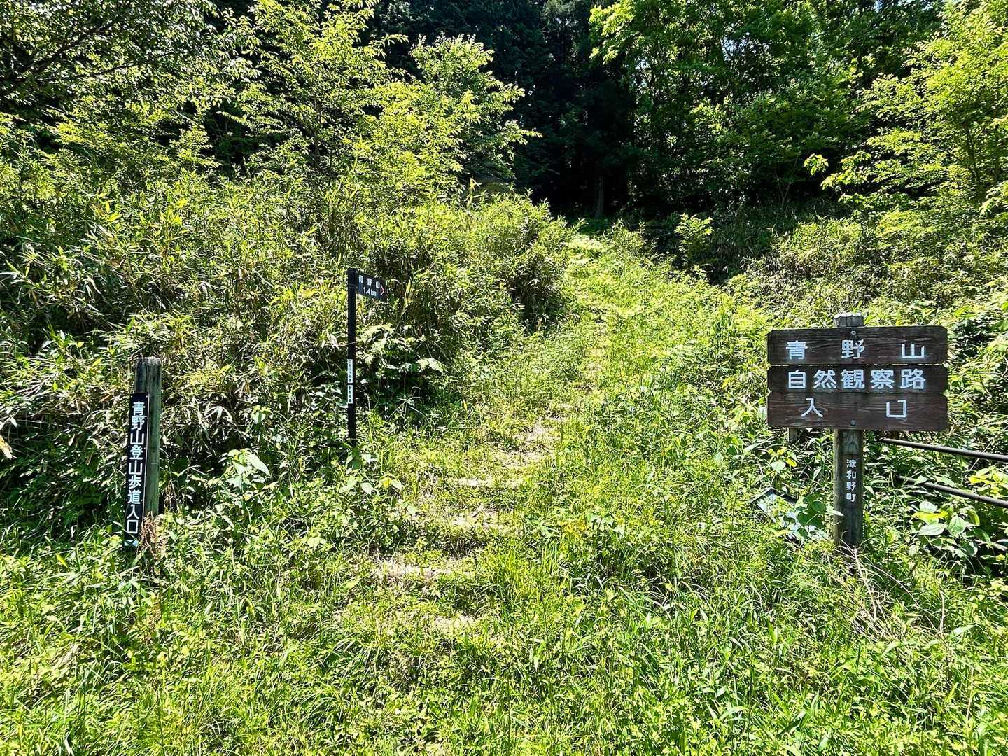 下山はあっという間🏃‍♀️
整備が行き届いた山道なのでありがたいです。
無事に🅿️まで降りてきました。