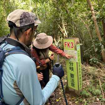 迷いポイントではしっかりコース取り