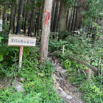 と言う事で見行山再び！
サクッと登れて景色も最高だったから相方を誘った