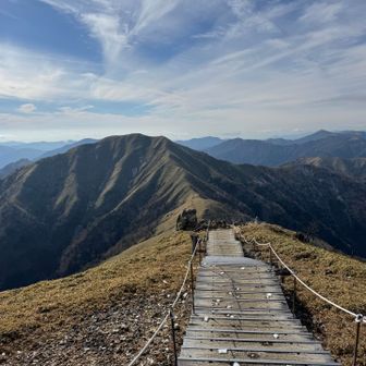 今日のジローは、いつものジロー💞