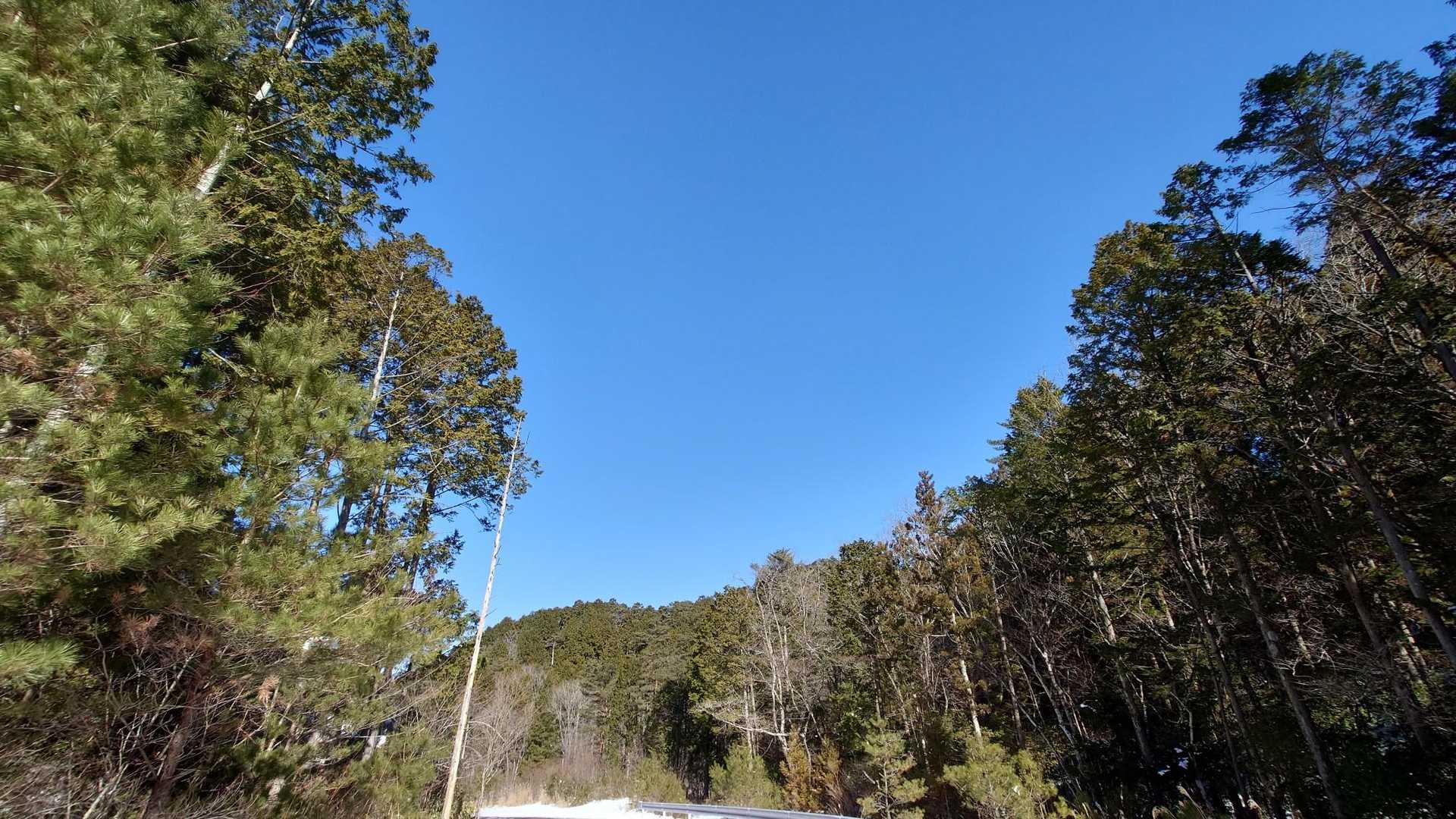 今日は鷹ノ巣山だけで終了