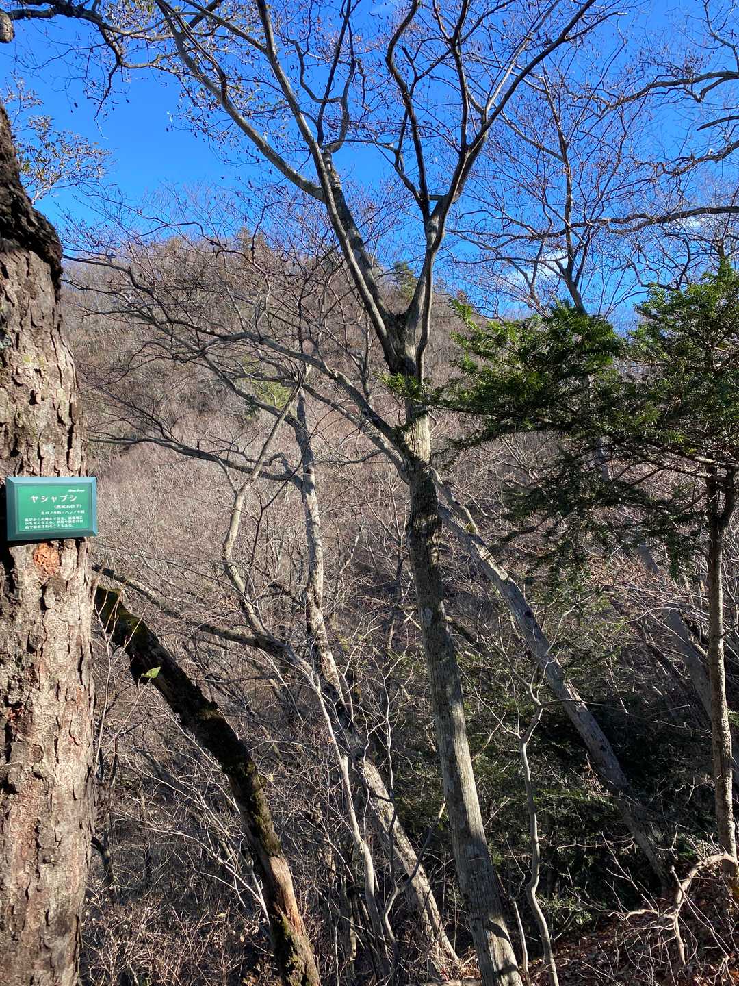 水とエネルギー館-高取山 往復コースの写真