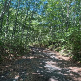 磐梯山とは反対側の西へ進むと猫魔ヶ岳