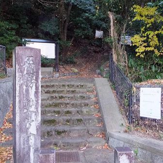 宇多野口から登り直す