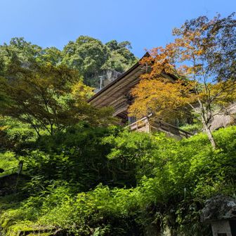 紅葉の季節は良いかも
