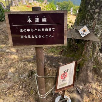 だけです😅