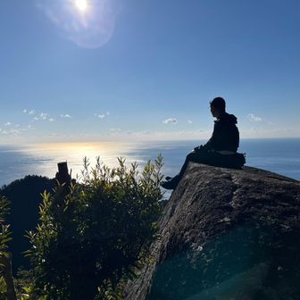 赤身を夢見る白身魚