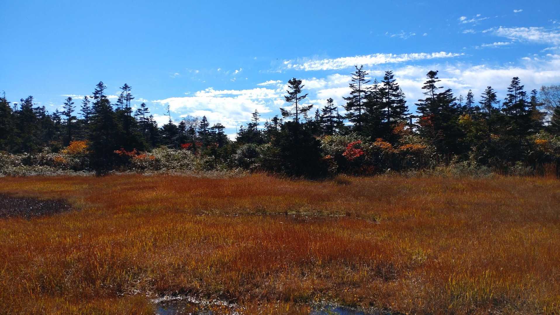 松川登山口-三ツ石山 往復コースの写真