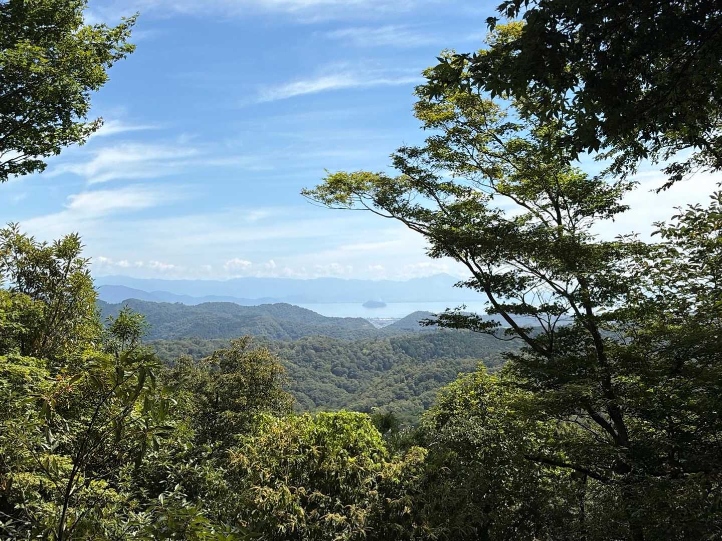 貴重な眺望
琵琶湖に浮かぶ竹生島が見えます　遠くには伊吹山
ニの谷山は、はぼ眺望無しなのです😂
