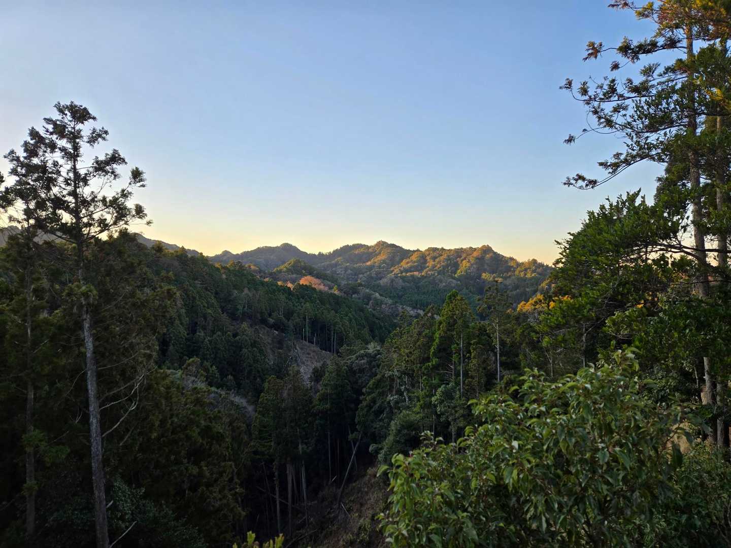 高宕山かな？