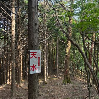 ここから150mぐらい下ります