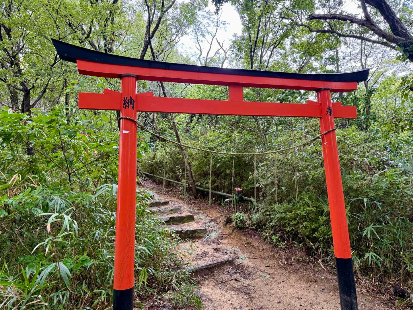 普見山方面への道