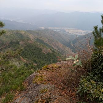 お～絶景
笹に覆われてなくて良かった