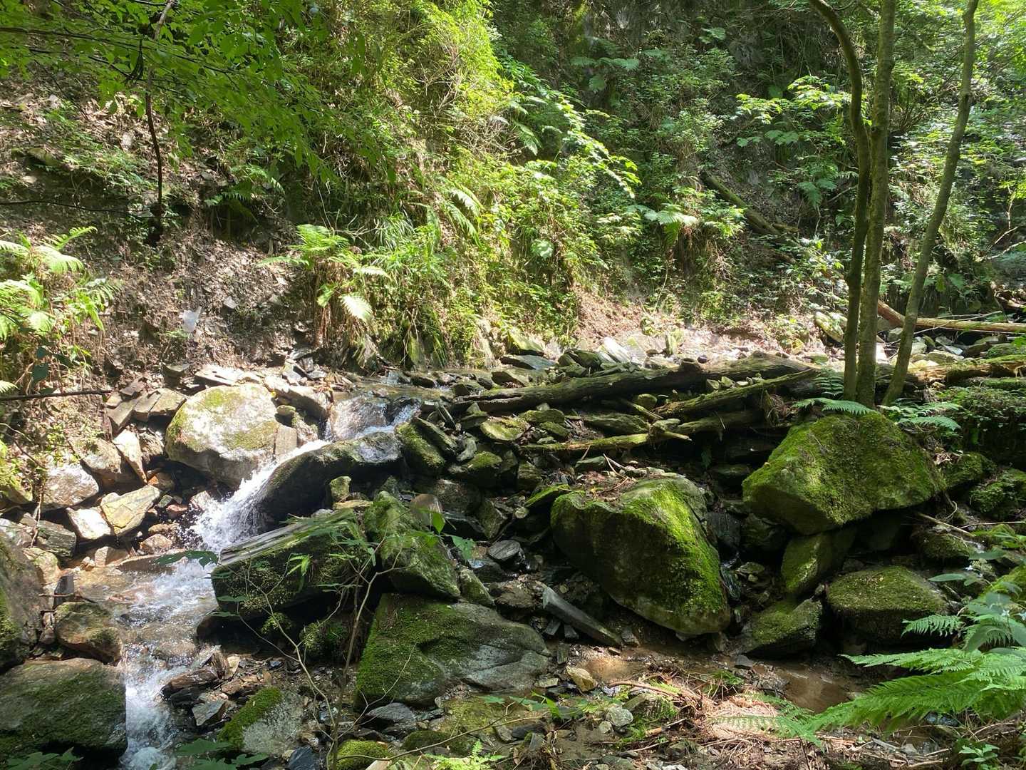 水無登山口-井原山 往復コースの写真