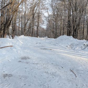 スタートからアイゼン。
トレースばっちり。感謝