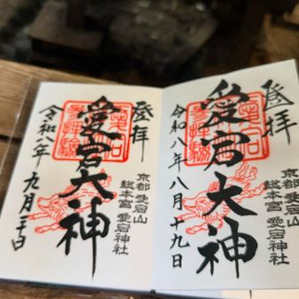 1ヶ月ぶりや〜💦