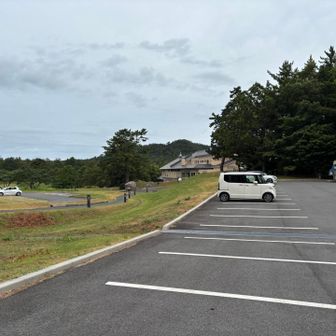 三瓶高原は涼しい
どこかの陸上チームが朝トレやってた