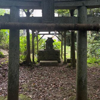 権現山山頂にあるの知らなかった