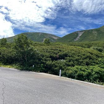 樹林帯抜けました。