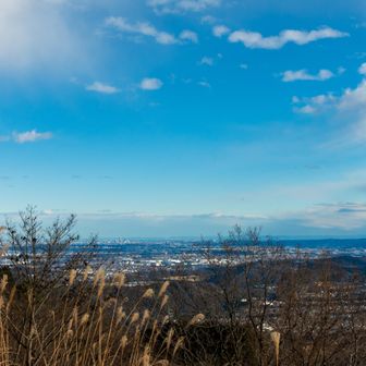 横浜方面は枝が少し邪魔