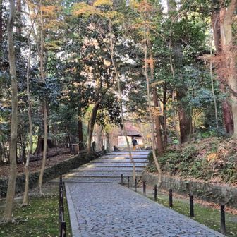 途中の写真がありませんが…

少し回り道してしまったようですが😥
法然院の参道に出てきました
ここでお二人とはお別れしました