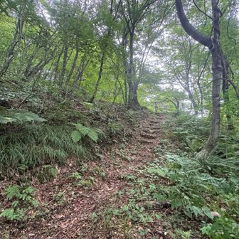 最後の登り🏃
