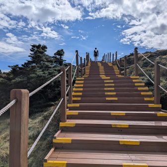 そろそろ山頂に着きそう

