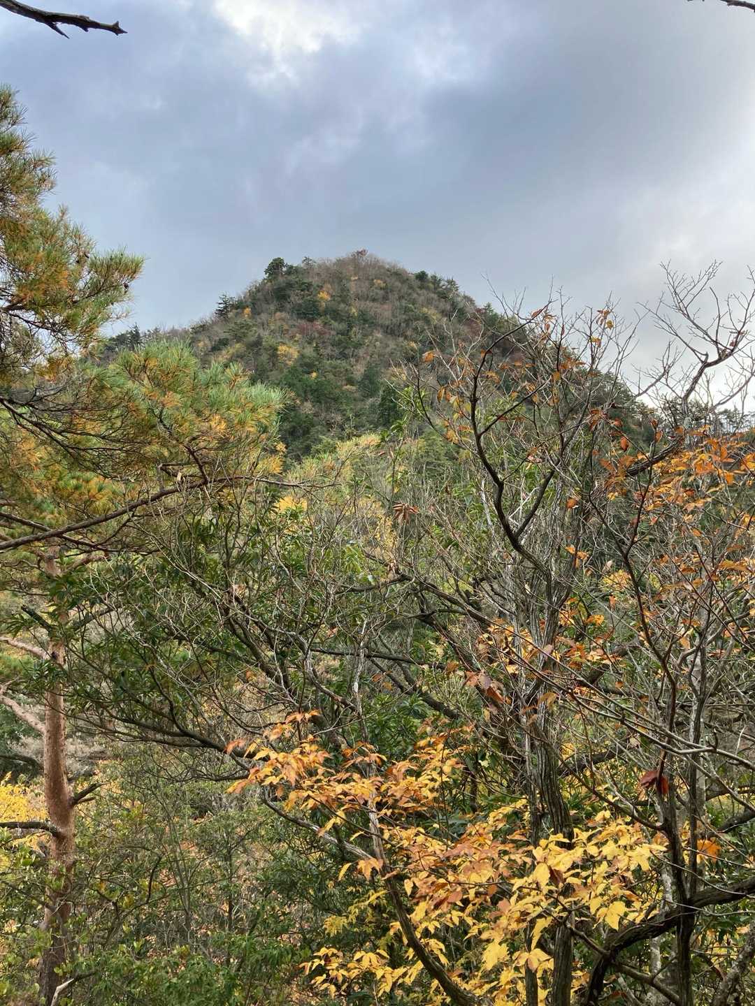 洗足山