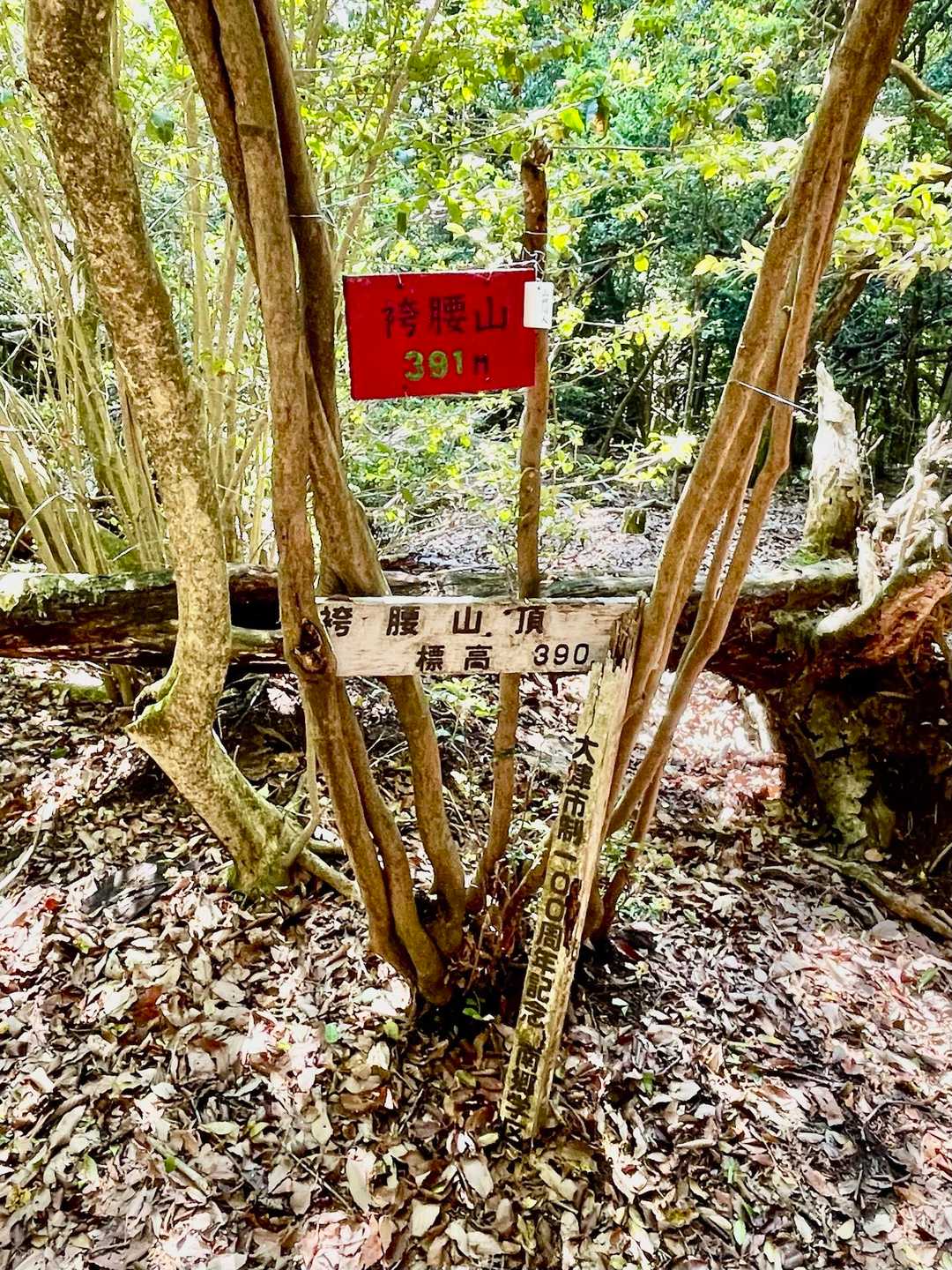 南郷バス停-立木山-袴腰山-袴腰山登り口 縦走コースの写真