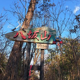 八坂山🚩225m
可愛い山名プレート💕