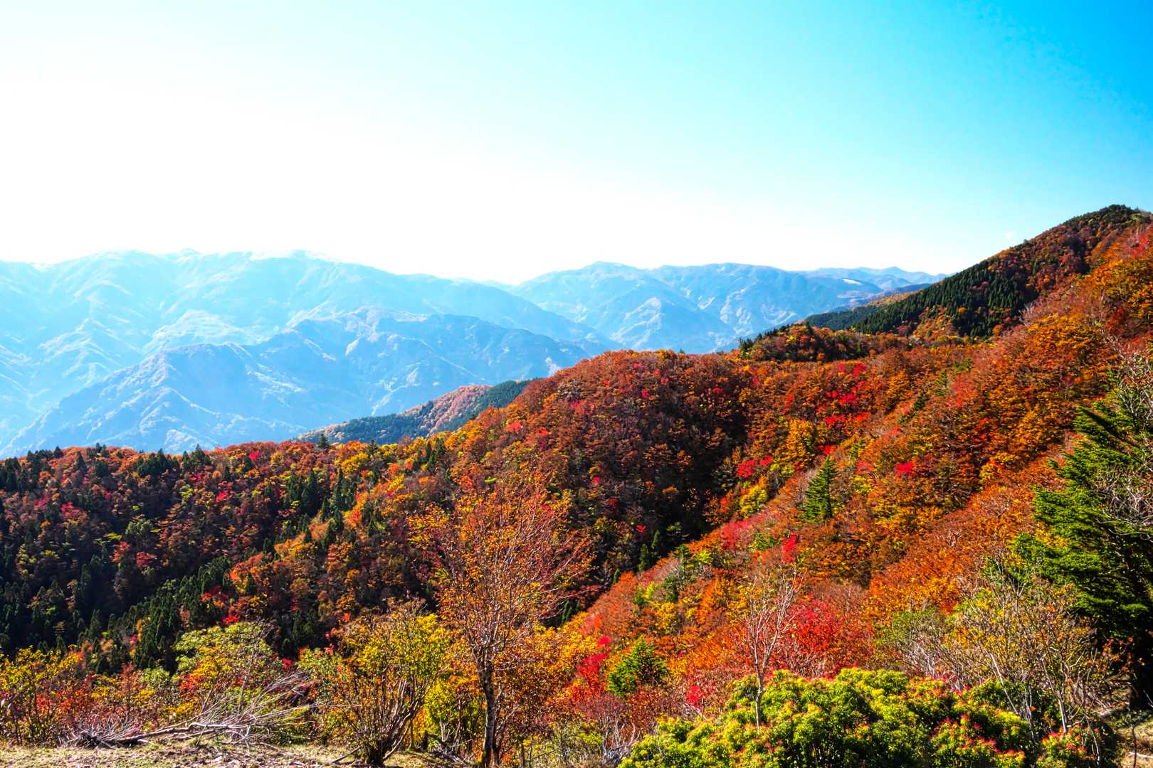 落合峠-落禿-前烏帽子山-寒峰 往復コースの写真